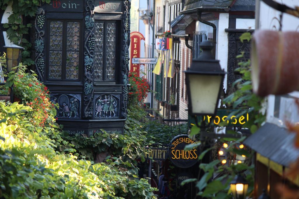 Teigenheim Apartment Ruedesheim am Rhein Phòng bức ảnh